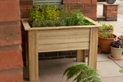 Forest Garden Kitchen Garden Planter -Secret Happy Shop t.tlx H3H8tUo.0H8r8MomNH.HwnjH6 . 08800.1680667583