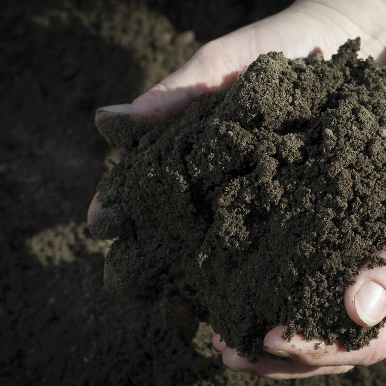 Rolawn Turf & Lawn Seeding Topsoil 0.73m3 Bulk Bag 4 Rolawn Turf & Lawn Seeding Topsoil 0.73m3 Bulk Bag - Image 2