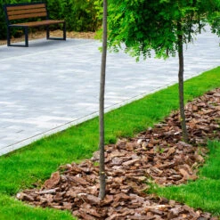 SupaGrow Landscaping Bark Chippings 606 Litres Bulk Bag -Secret Happy Shop t.tlx kfkLMC0.1kLIfvnW4k.kjHFkY.kLw MkBFI 32212.1701482613