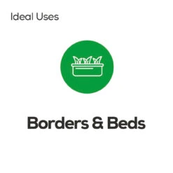 Green Chippings 20mm Bulk Bag -Secret Happy Shop t.tlx oeonz5h.XondNmi9No.oS qoQ. 17887.1687592668