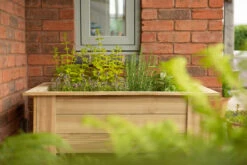 Forest Garden Kitchen Garden Planter -Secret Happy Shop t.tlx oeonz5h.Xoninj XGo.oS qoQ. 59025.1680667598