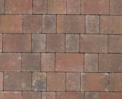Drivesett Savanna Concrete Paving Traditional 160 X 120 X 50mm (10.37m2) -Secret Happy Shop t.tlx rlr7AJi.Rr7lkITLfr.rEx rO. 85621.1687226950
