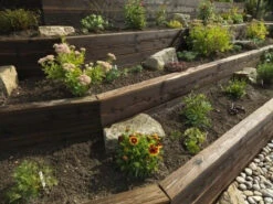 Brown Charred Brushwood UC3u Treated Garden Sleeper 125 X 250 X 2400mm -Secret Happy Shop t.tlx xbxTYZf.ixTbHltc5x.xCKDx1 . 88087.1699922231